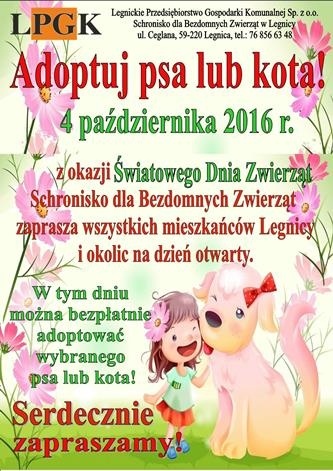 światowy dzień zwierząt 